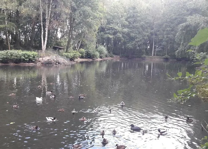 Casa de Férias L'oree Du Bois *