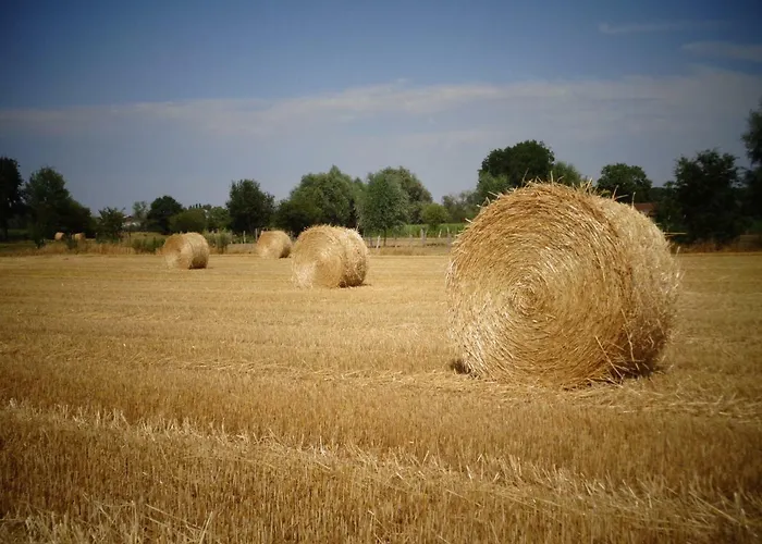 L'oree Du Bois * Coutiches